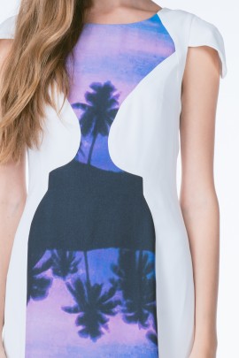 Paradise Palm Print Dress